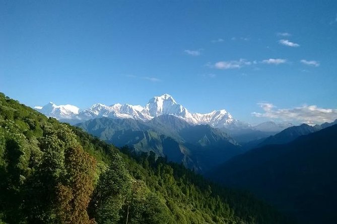 Annapurna Base Camp Trek - 11 Days - Day 2: Nayapul, Birethanti, and the first walking trails