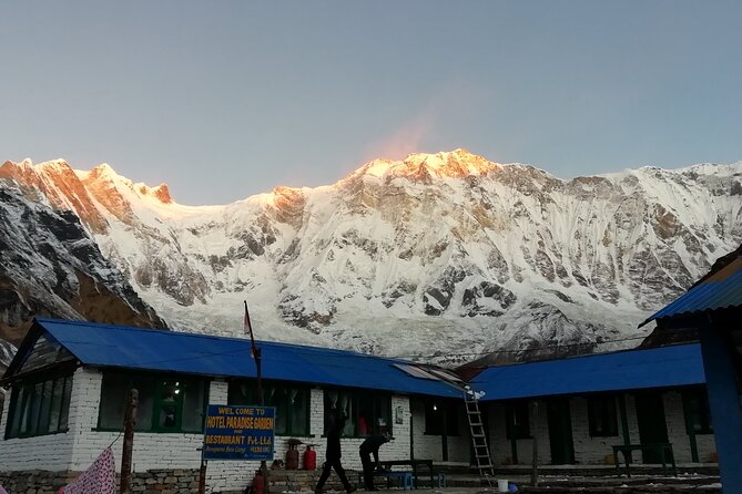 Annapurna Base Camp Trekking - Ghorepani and the rhododendron forests