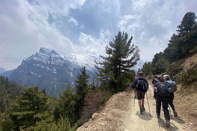 Annapurna Circuit Trek with Tilicho Lake (16 Days) - Days 3 and 4: Pine forests, Chame, and Upper Pisang