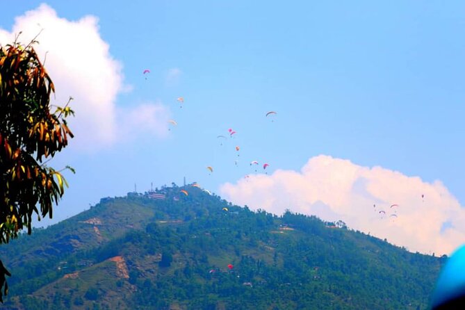 Best Nepal Tour: Kathmandu Pokhara Chitwan Tour - Chitwan trades temples for jungle