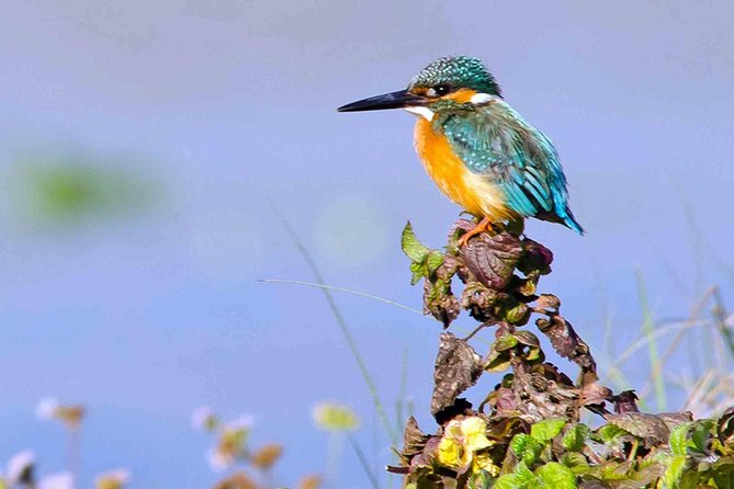 Best of Nepal Luxury Adventure Tour Package - 9 Days - What this nine-day route gets right