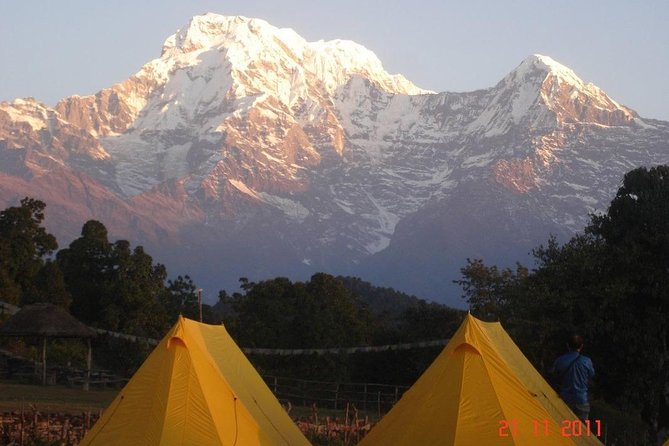 Best of Nepal Luxury Adventure Tour Package - 9 Days - Days 3 and 4: Chitwan wildlife, Tharu culture, and Pokhara