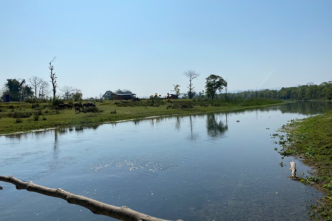 Canoeing and Nature Walk in Chitwan National Park - The $61.54 price and what it covers