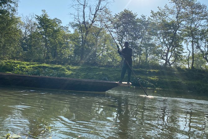 Canoeing and Nature Walk in Chitwan National Park - Wildlife expectations: exciting, but keep them realistic