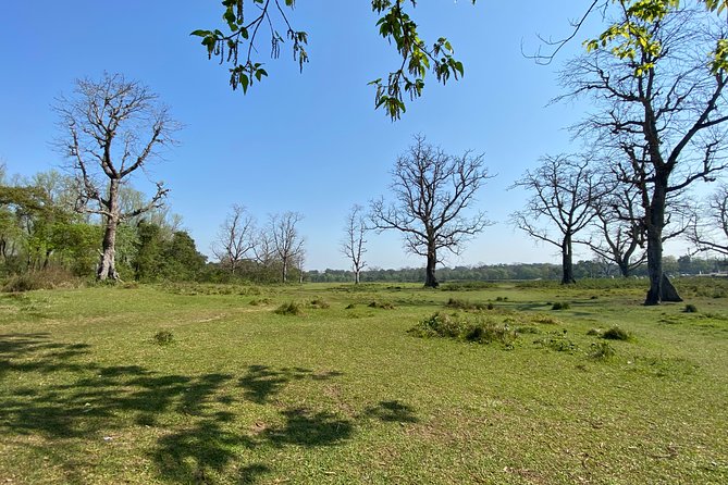 Canoeing and Nature Walk in Chitwan National Park - Walking through the forest for about one hour