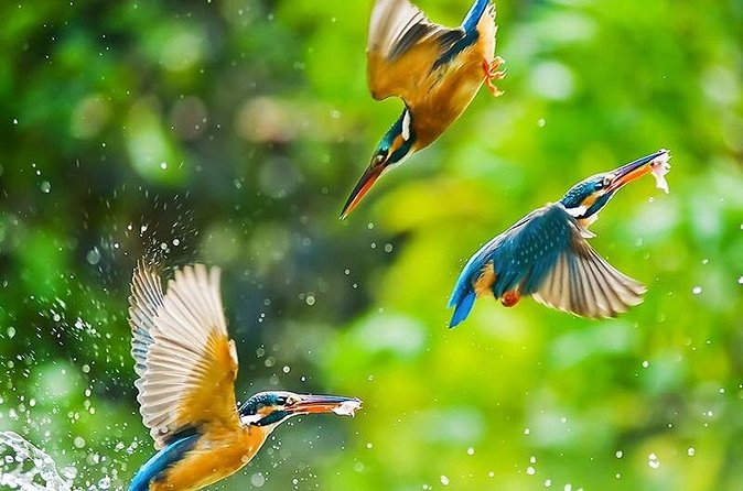 Chitwan 2 Nights All Inclusive Jungle Safari Tour - Communication and the human side of the arrangement