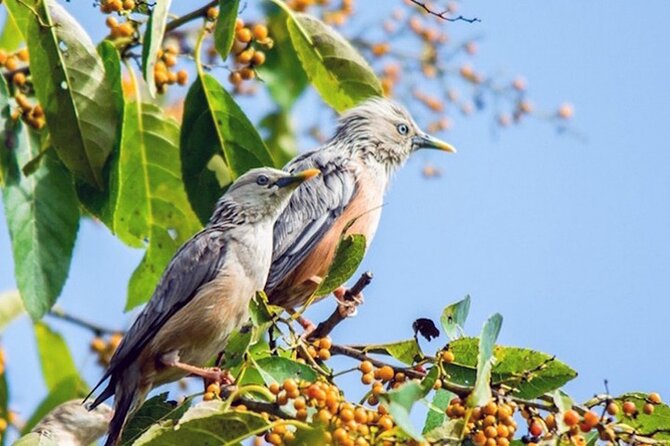 Chitwan 2 Nights All Inclusive Jungle Safari Tour - The road from Kathmandu through Thankot and Narayanghat