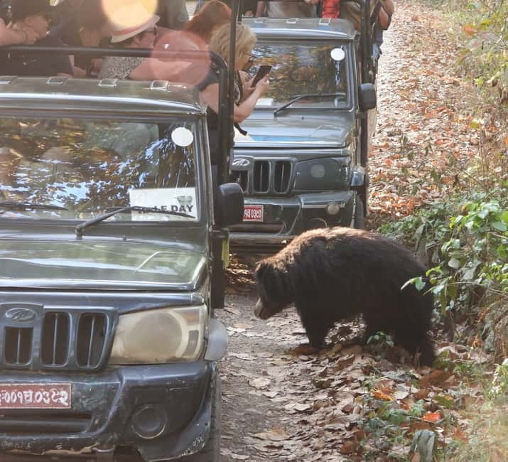 Chitwan: Full-Day Safari Canoeing and Jungle Walk and Jeep - Guides, organization, and the human side