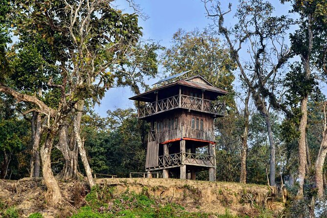 Chitwan Jungle Safari 3-Day Tour - From Kathmandu to Chitwan by tourist coach