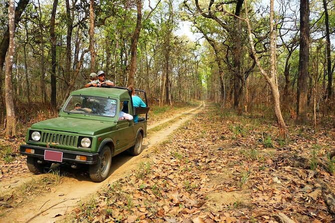 Chitwan Jungle Safari 3-Day Tour - Birdwatching and canoe time on the Rapti River