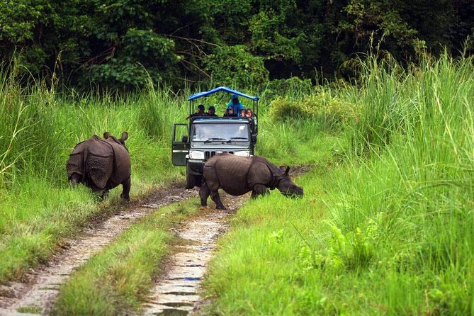 Chitwan Jungle Safari 3-Day Tour - Is $38 a good deal?