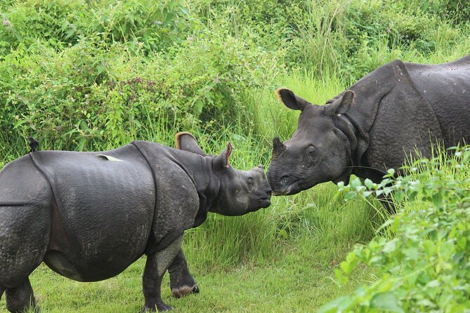 Chitwan National Park Tour - Tharu culture after the safari