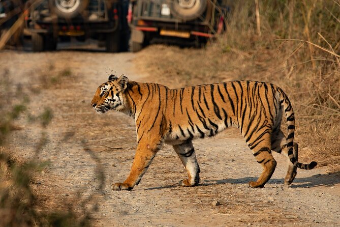 Chitwan National Park Tour - How the private format affects your trip