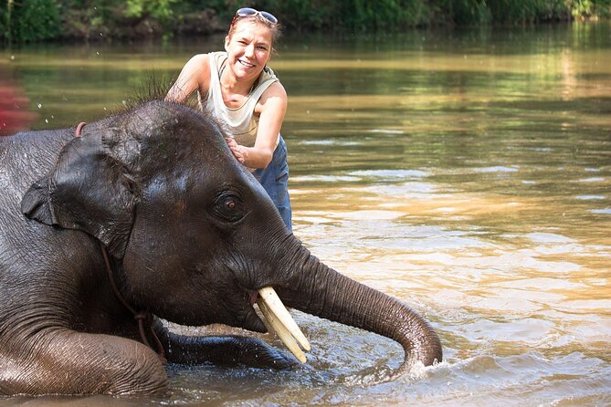 Chitwan National Park Tour - Canoeing and the short forest walk