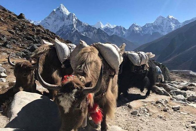 Everest Base Camp Trek 12 Days – Best Himalayan Adventure - Tengboche and the most memorable mountain views