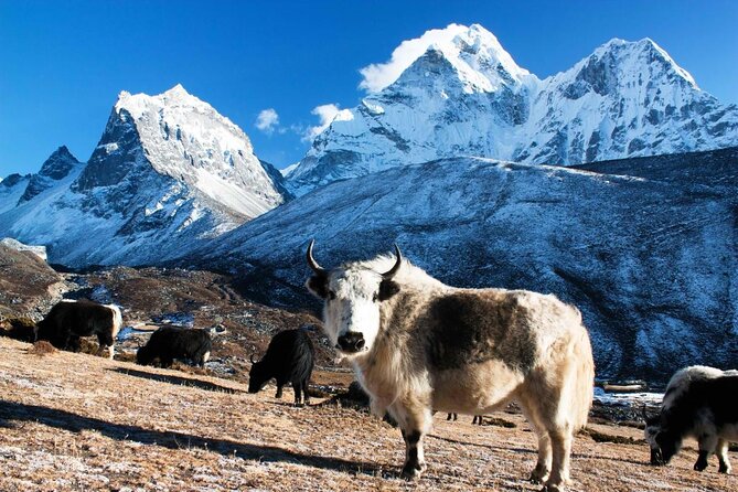 Everest Helicopter Tour - Key points at a glance