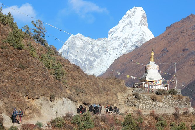 Everest Three Pass Trek - Why the Three Pass route is worth the effort