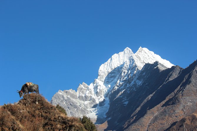 Everest Three Pass Trek - Day 6: A short walk to Chhukung