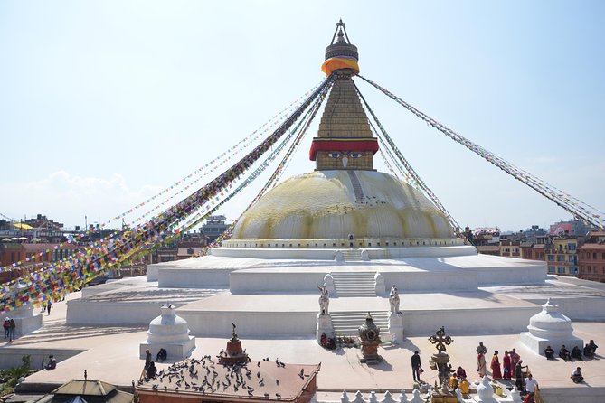 Experiential Tour of Nepal. - Chitwan brings wildlife into the itinerary