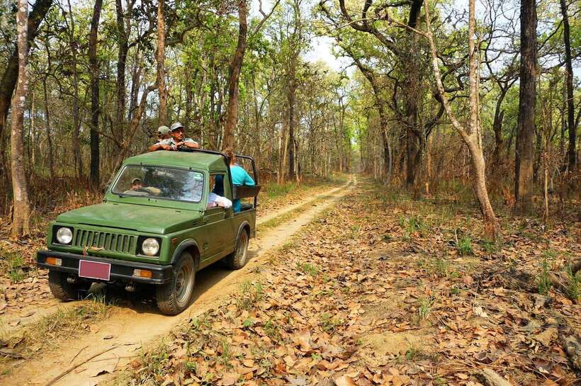 From Kathmandu/Pokhara: 2, 3, or 4-Day Chitwan Jungle Safari - Jeep safaris and the search for a one-horned rhino