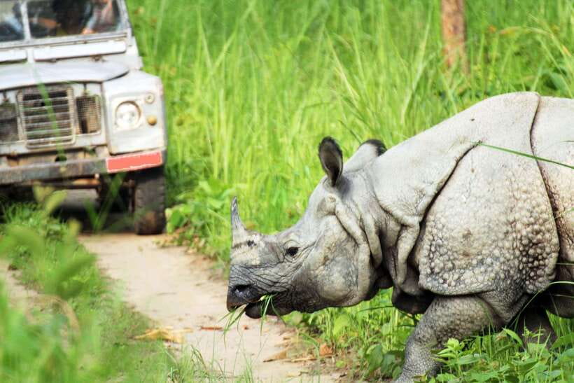 From Kathmandu/Pokhara: 2, 3, or 4-Day Chitwan Jungle Safari - Choosing two, three, or four days