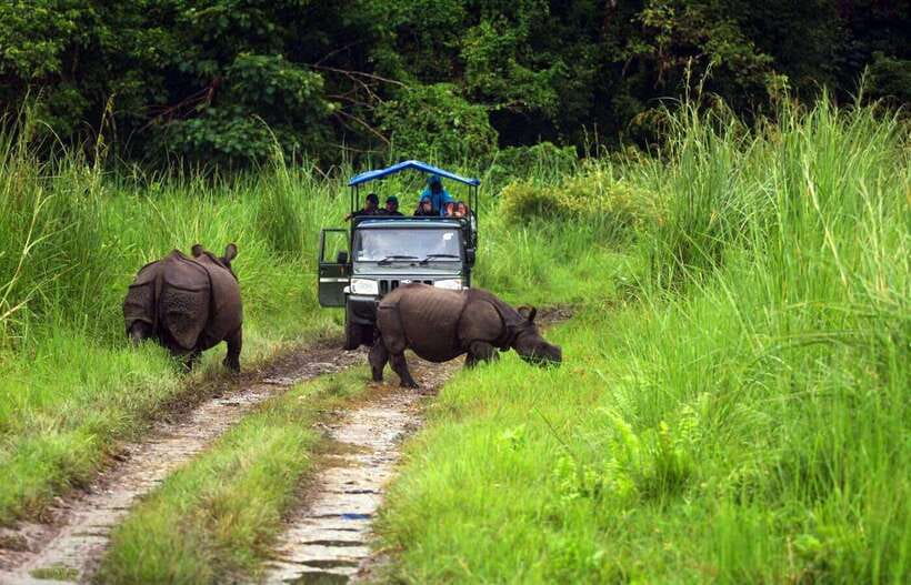 From Kathmandu/Pokhara: 2, 3, or 4-Day Chitwan Jungle Safari - When the safari works best for you