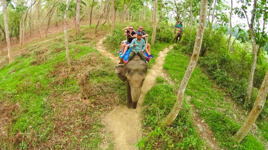 From Kathmandu/Pokhara: 3-Day All-Inclusive Chitwan Safari - Meeting the Tharu community through dance