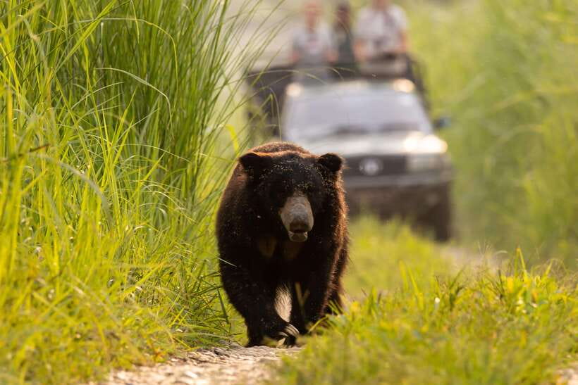 From Kathmandu/Pokhara: 3-Day Chitwan National Park Tour - Should you book this Chitwan tour?