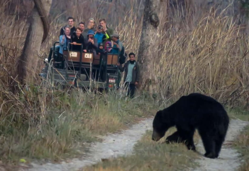 From Kathmandu/Pokhara: 3-Day Chitwan National Park Tour - The five to six hour ride from Kathmandu or Pokhara