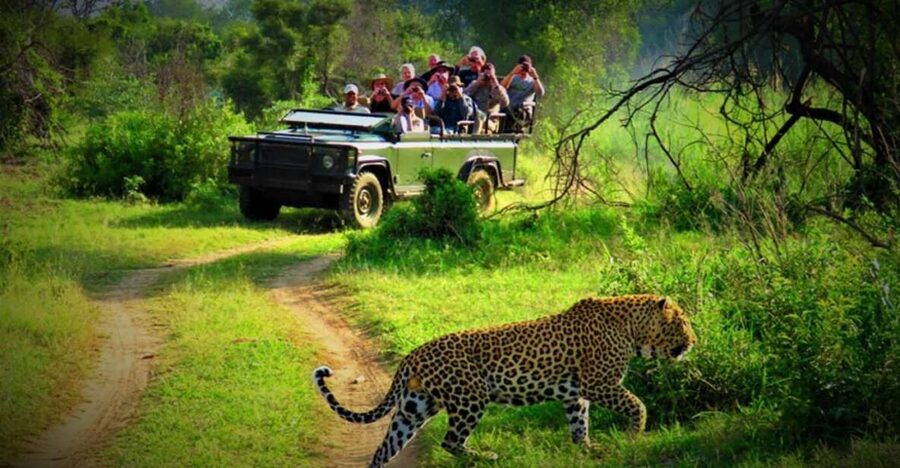 From Kathmandu/Pokhara: Private 3-Day Chitwan Safari Tour - Why three days in Chitwan works
