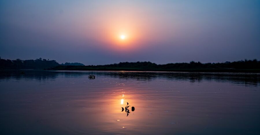 From Kathmandu/Pokhara: Private 3-Day Chitwan Safari Tour - The elephant breeding center and the walking tour