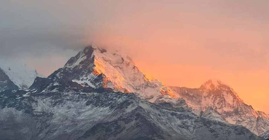 From Pokhara: 2 Day 1 Night Ulleri,Ghorepani Poon Hill Trek - The walk to Ghorepani through rhododendron forest