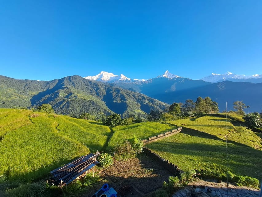 From Pokhara: 3-Day Ghorepani Poonhill Short Trek - The walking difficulty and what you need
