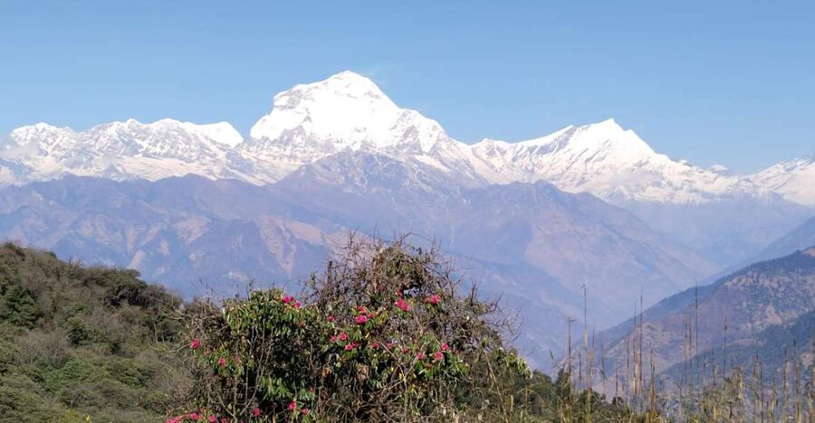 From Pokhara: 4-Day Annapurna and Poon Hill Himalayan Trek - Day 2: The Poon Hill sunrise and the trail to Tadapani