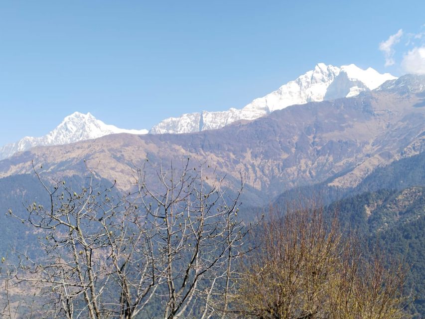From Pokhara: 4-Day Annapurna and Poon Hill Himalayan Trek - Day 3: Jhinu hot springs and Ghandruk’s Gurung village