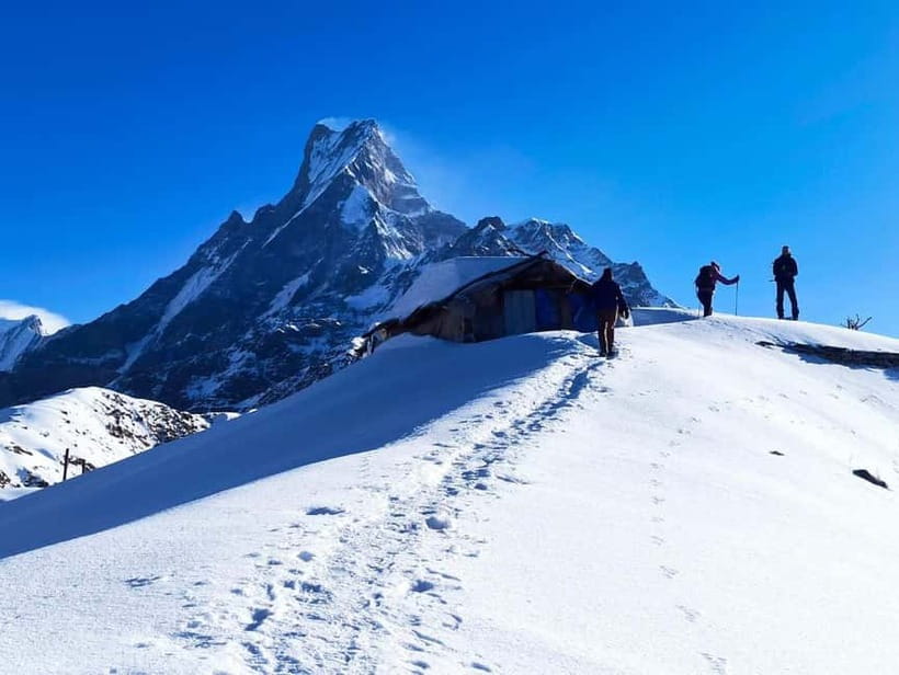 From Pokhara: 4-Day Mardi Himal Base Camp Trek - Key points to know before booking