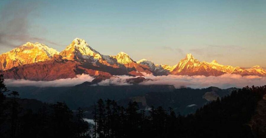 From Pokhara: 5-Day Annapurna Basecamp Trek with Hot Springs - Forest paths from Sinuwa to Deurali