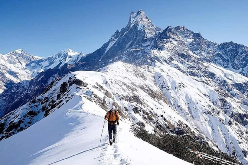 From Pokhara: 5-Day Mardi Himal Base Camp Trek - Day 2: Rhododendron forest and Low Camp