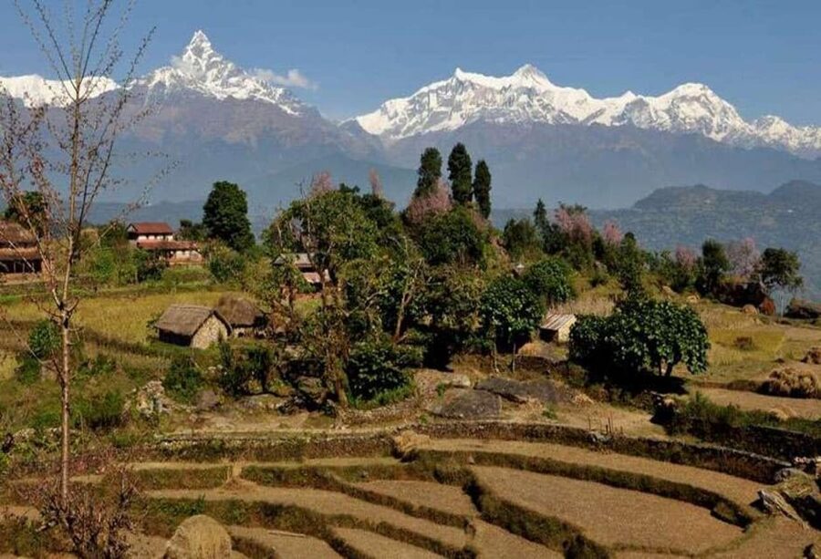 From Pokhara: Annapurna View Day Hike - The final walk to Phedi