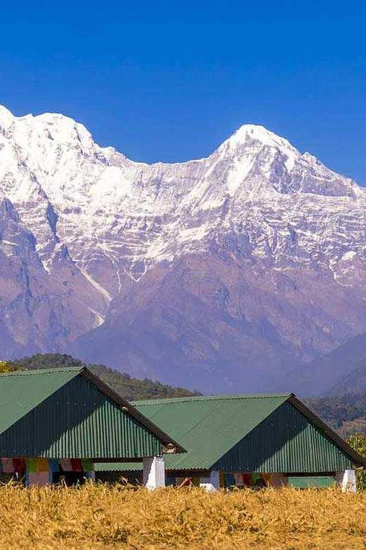From Pokhara: Annapurna View Day Hike - How demanding is the walk?