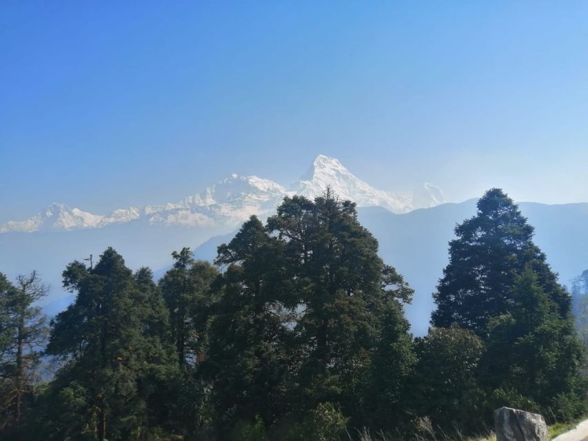 From Pokhara: Budget 2 Night 3 days Poon hill trek - Guide support and private-group value