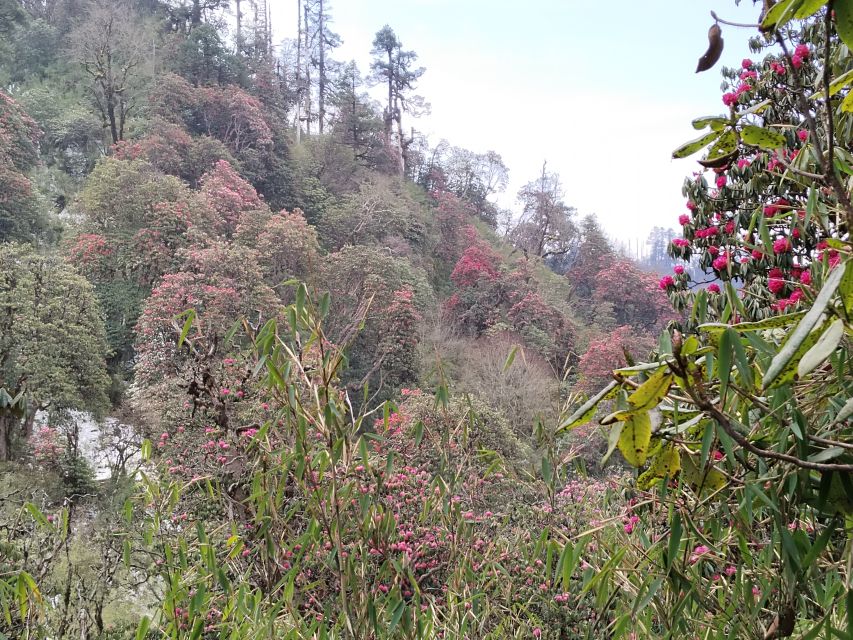 From Pokhara: Budget 2 Night 3 days Poon hill trek - The best seasons and the risk of cloud
