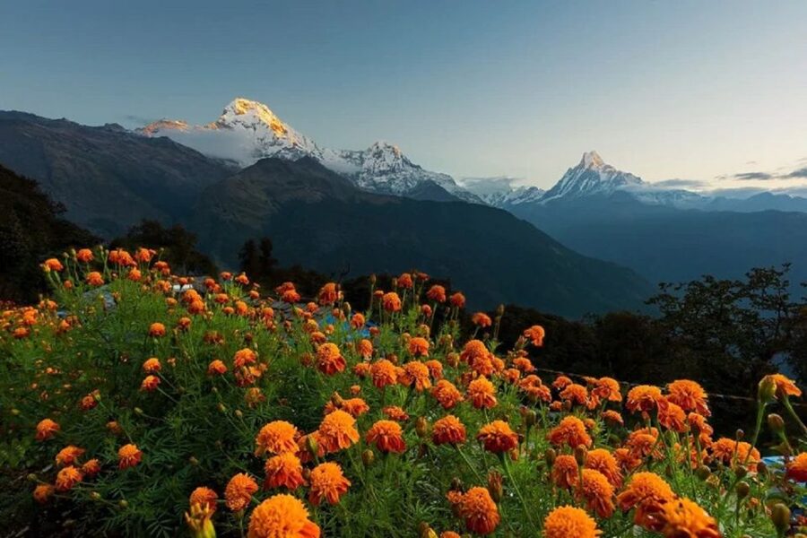 From Pokhara: Guided Tour to Visit 4 Himalayas View Point - How the private format changes the experience