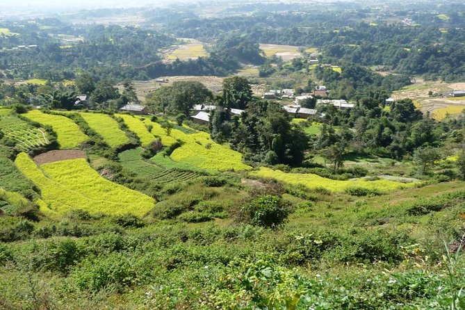 Full Day Bhaktapur Changunarayan And Nagarkot Tour in Nepal - Who should book this experience?