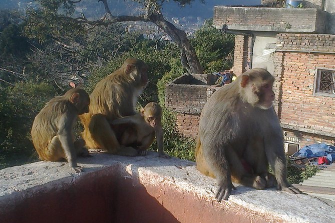 Full Day Kathmandu City Sightseeing Tour of UNESCO Heritage Sites - Boudhanath, the final major stop