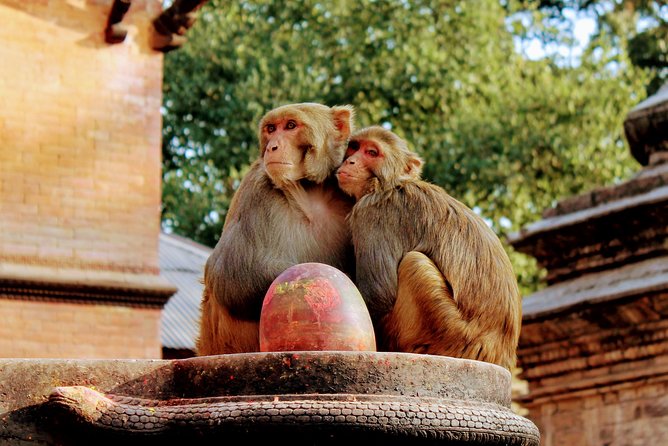 Full Day Private Tour of Kathmandu - UNESCO World Heritage Sites - Who will get the most from this tour