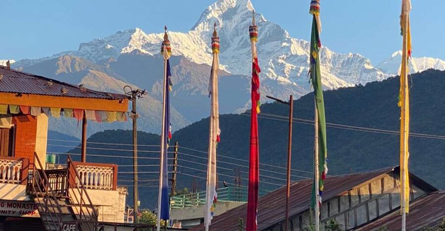 Full Day Tibetan Cultural Tour - A Tibetan lunch with momos and thenthuk