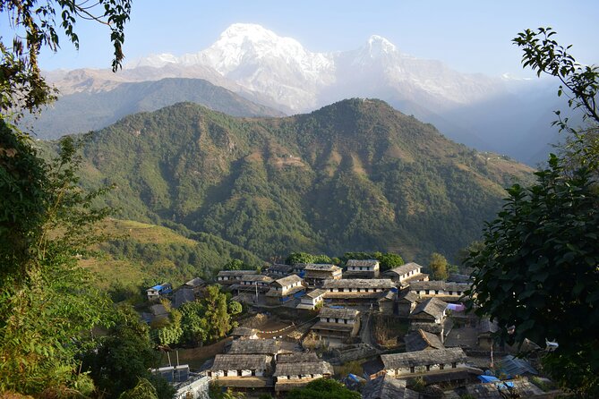 Ghorepani Ghandruk Wellness Yoga Trek - Why this trek works for a wellness-minded hiker