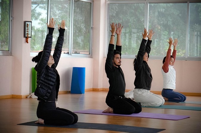 Ghorepani Ghandruk Wellness Yoga Trek - Day 8: Kathmandu and the end of the mountain section