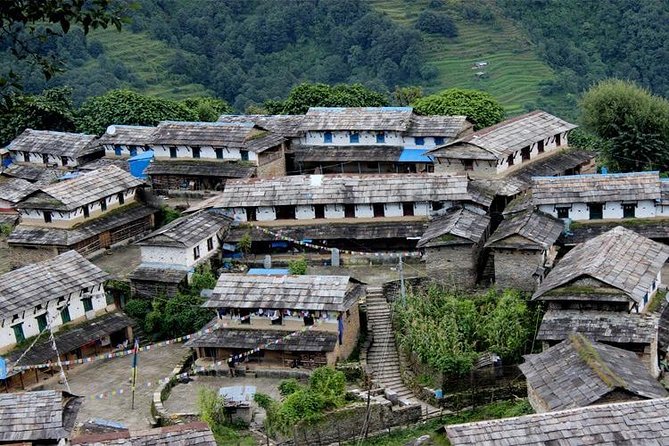 Ghorepani Poon Hill Trek - Day 3: Forest trails from Ulleri to Ghorepani